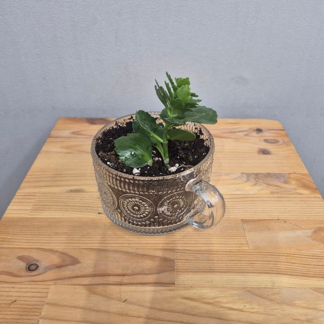 композиция проспект 11723062