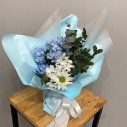 композиция проспект 41703062