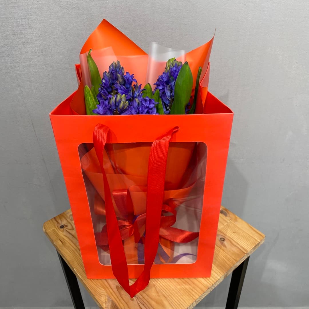 композиция проспект 80813062