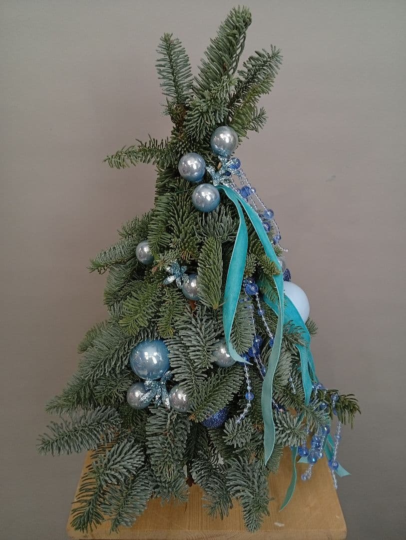 Композиция Революционная 20802152