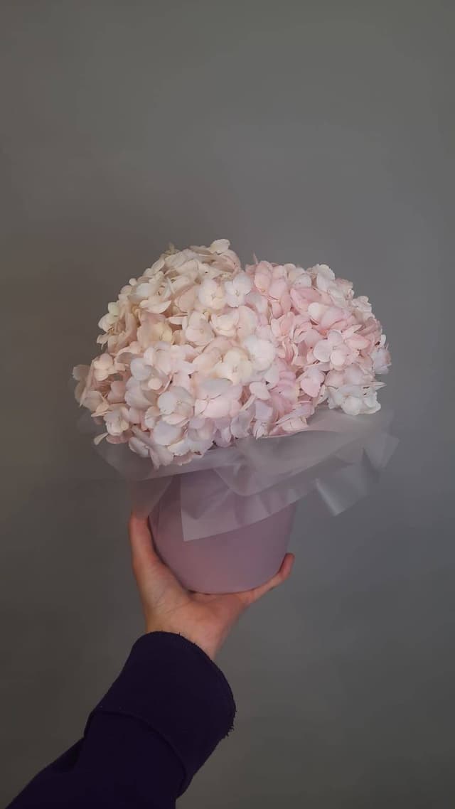 Композиции революционная 20514042 Композиции революционная 20514042