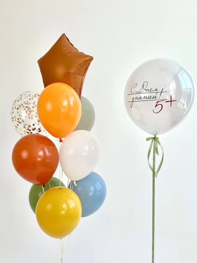 Композиция из шаров «День знаний 5+» Композиция из шаров «День знаний 5+»