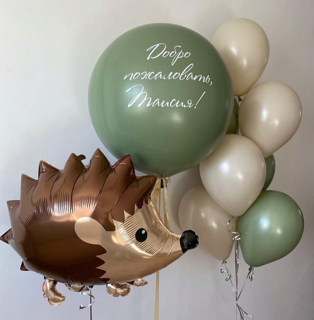 Композиция из шаров "Ежик в полете" Композиция из шаров "Ежик в полете"