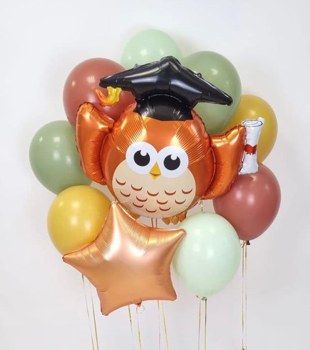 Композиция из шаров на грузах "Учение свет" Композиция из шаров на грузах "Учение свет"