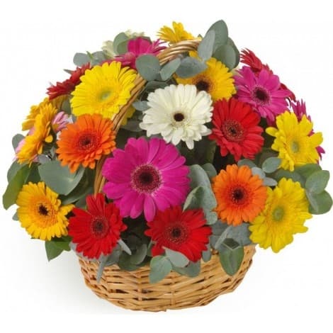 Оригинальная композиция в Корзине из 25 гербер в ассортименте Оригинальная композиция в Корзине из 25 гербер в ассортименте