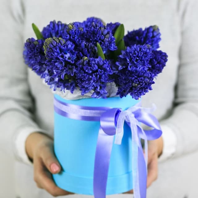 Оригинальная композиция в шляпной коробке из 15 гиацинтов Оригинальная композиция в шляпной коробке из 15 гиацинтов