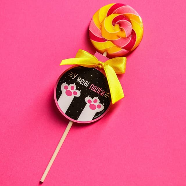 Леденец на палочке «У меня лапки»: со вкусом дыни, 15 г Леденец на палочке «У меня лапки»: со вкусом дыни, 15 г