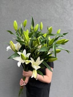 Лилии в ассортименте