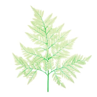 Лист папоротника стабилизированный , бирюзовый