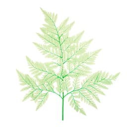 Лист папоротника стабилизированный , бирюзовый