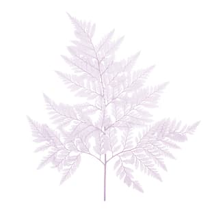 Лист папоротника стабилизированный , сиреневый