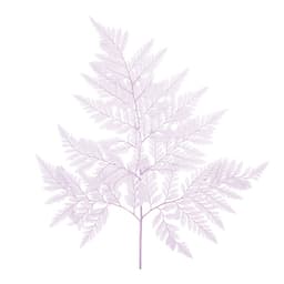 Лист папоротника стабилизированный , сиреневый