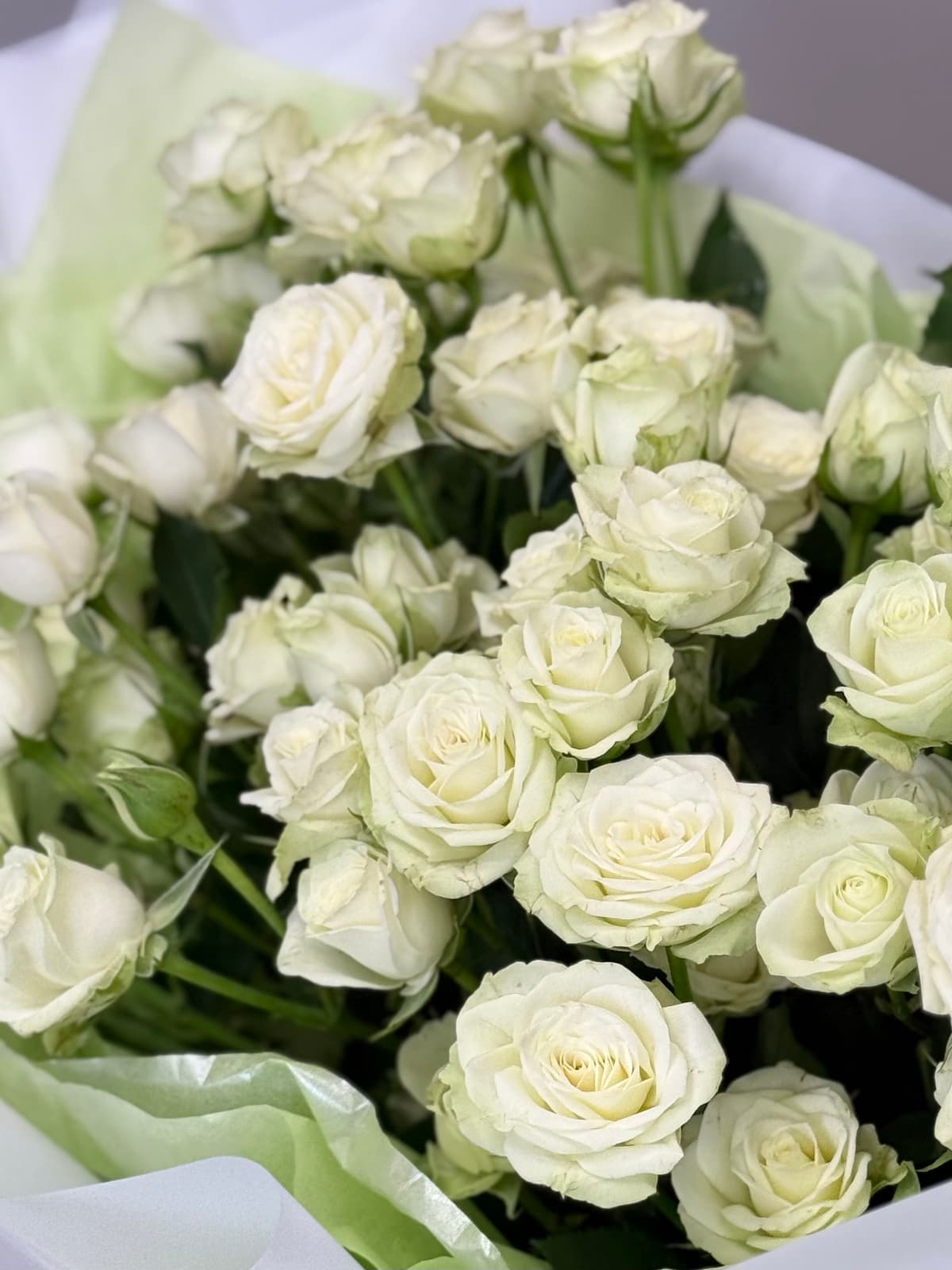 Любимый букет из 15 белых кустовых роз