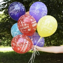 M 12"/30см (шелк) Здравствуй,школа!