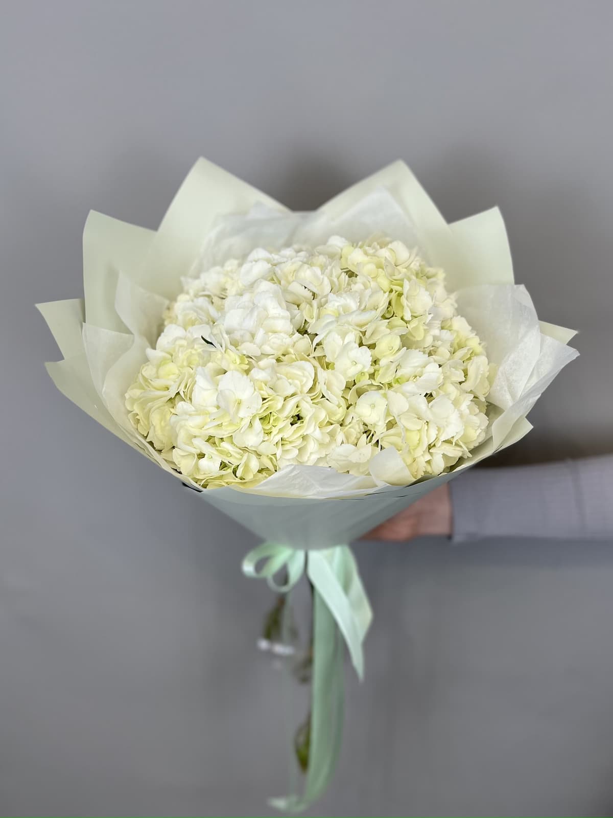 МЕГА АКЦИЯ Букет из 3 белых гортензий