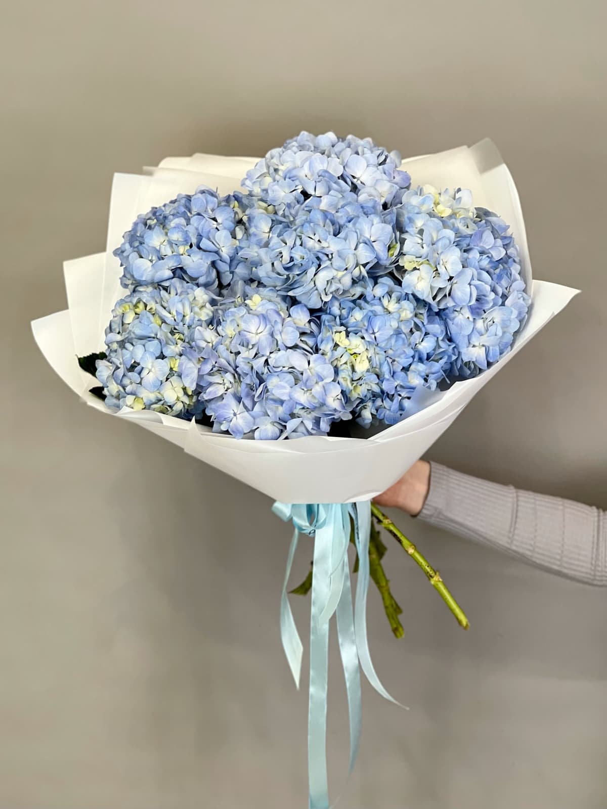 МЕГА АКЦИЯ Букет из 7 голубых гортензий