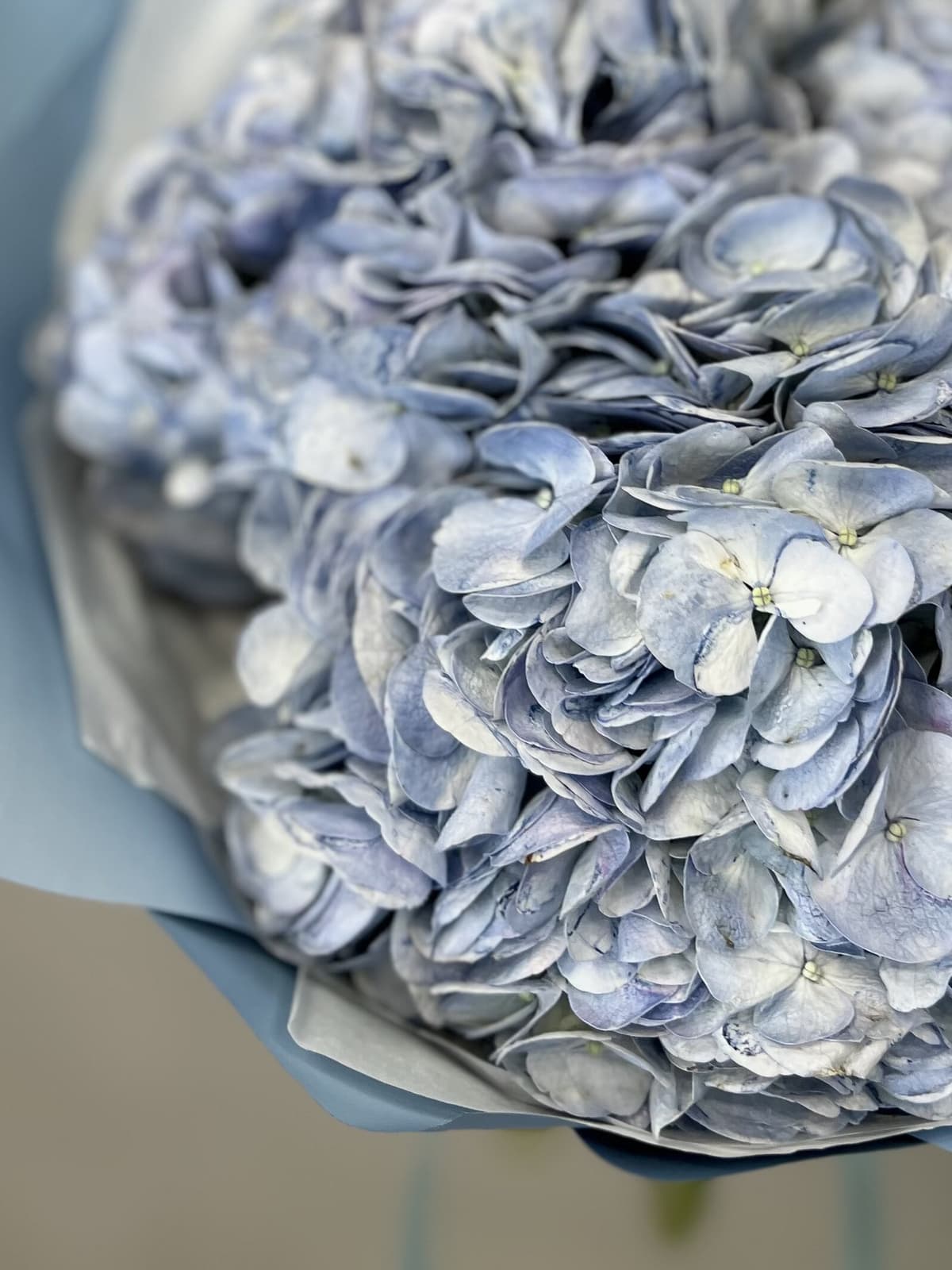 МЕГА АКЦИЯ Оригинальный букет из 3 голубых гортензий