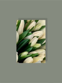 Мини открытка №9 "Универсальная"