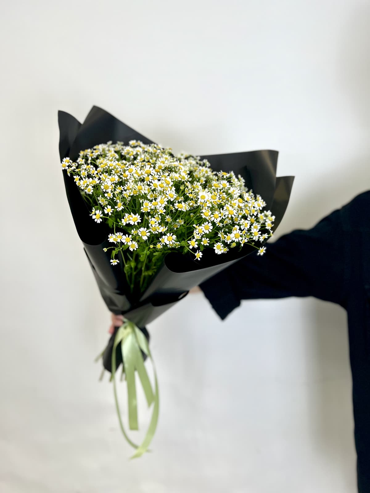 Моно букет из 17 Ромашек в матовой бумаге