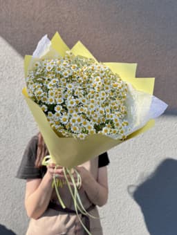 Моно букет из 23 Ромашек в матовой бумаге