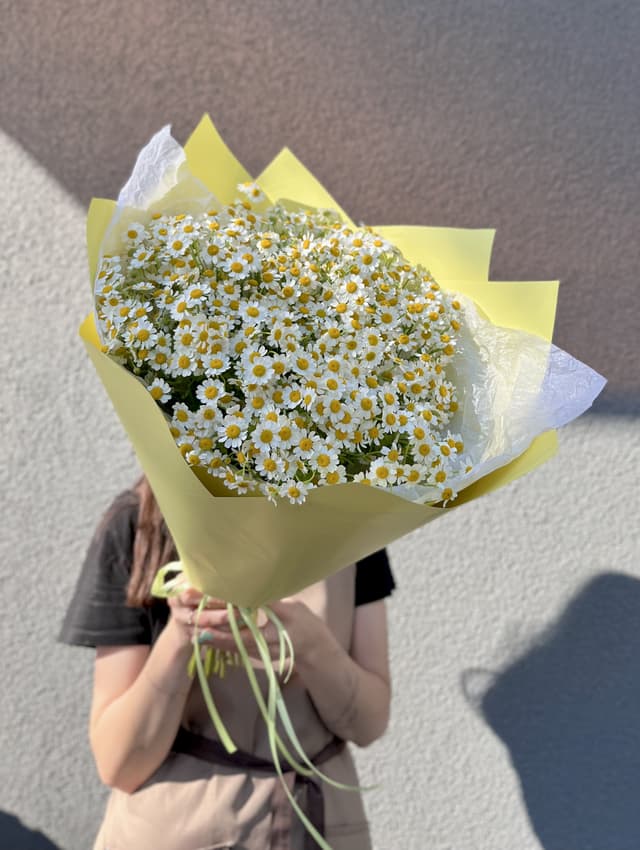 Цветочный моно букет из 23 Ромашек в матовой бумаге Цветочный моно букет из 23 Ромашек в матовой бумаге