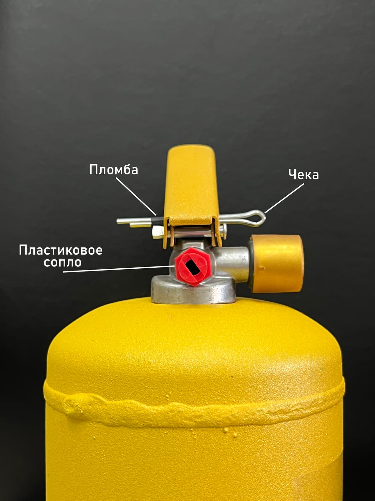 Огнетушитель с Краской Холи Лайк, Синий, 2 л.