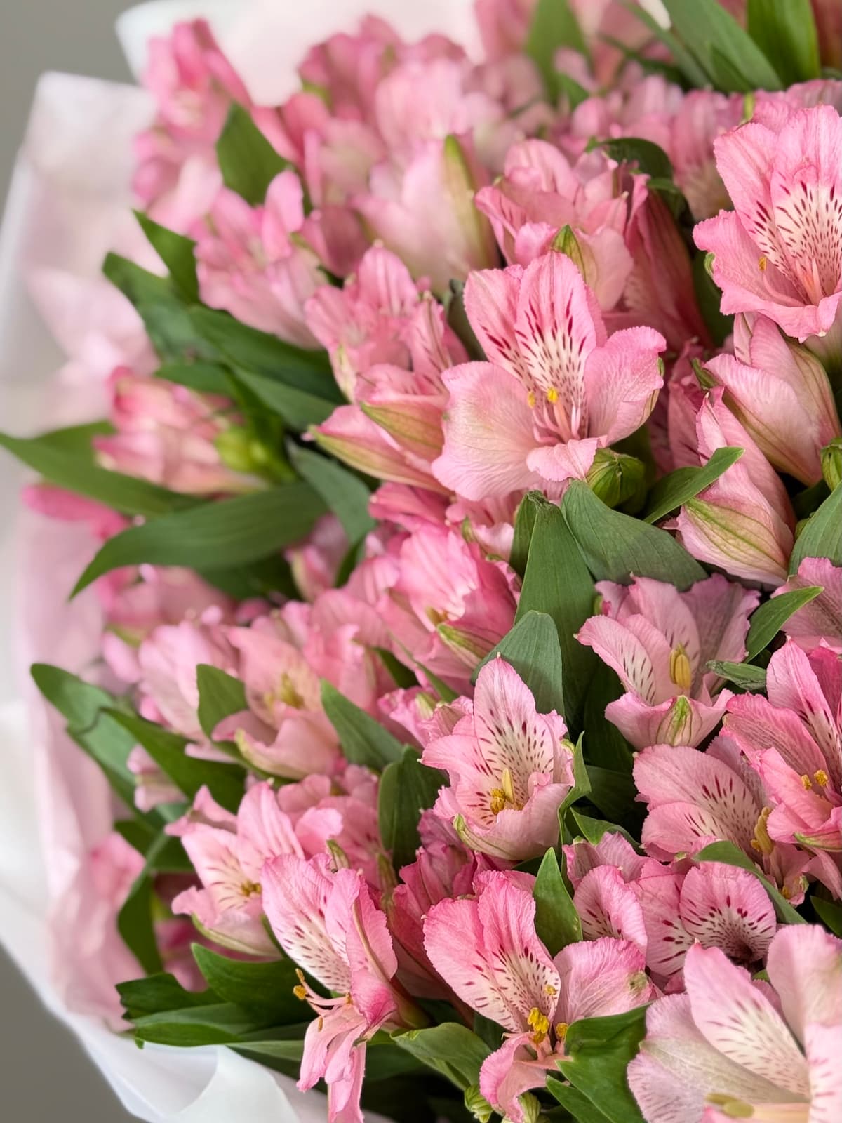 Оригинальный букет из 15 альстромерий "Примадонна"