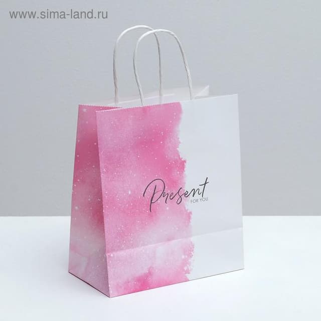 Пакет подарочный крафтовый «Present for you», 22 × 25 × 12 см Пакет подарочный крафтовый «Present for you», 22 × 25 × 12 см