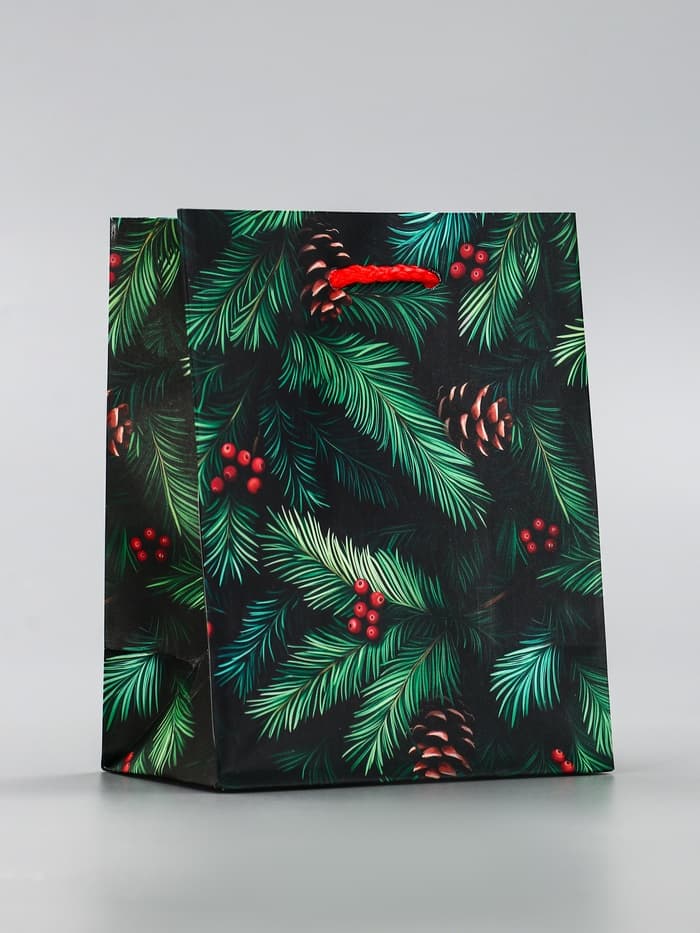 Пакет подарочный новогодний ламинированный, «Шишки», 11.5×6.5×14.5 см