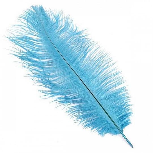 Перья голубые (пачка)