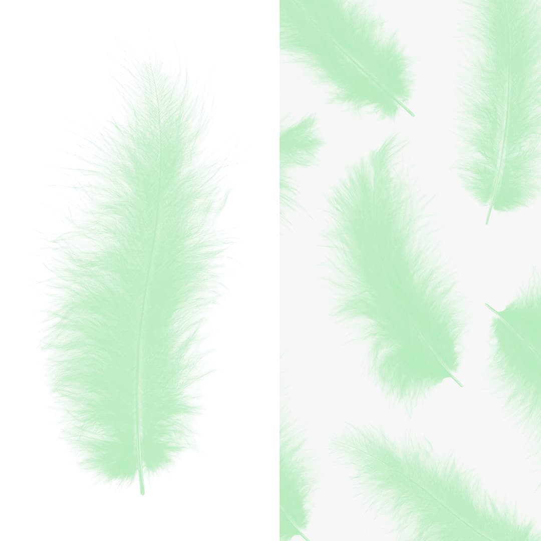 Перья мятные (пачка)