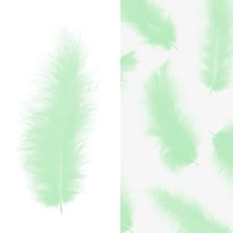 Перья мятные (пачка)