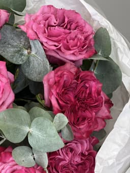 Пионовидная роза розовая Кантри Блюз (Country Blues) по акции от 7 шт