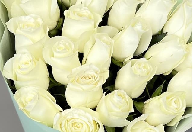 Роза белая стандарт 50 см Роза белая стандарт 50 см