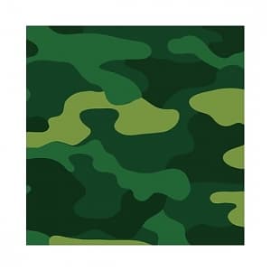 Салфетки Милитари 33см X 33см /12шт