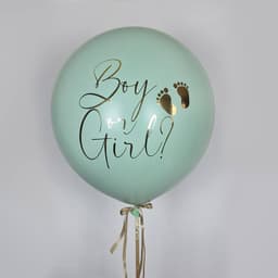 Шар гендер пати «Ментол» (2)