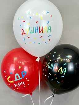 Шар латексный 12" / 30 см «С ДР, душнила»