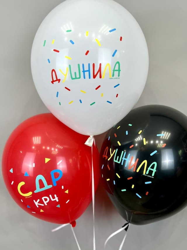 Шар латексный 12" / 30 см «С ДР, душнила» Шар латексный 12" / 30 см «С ДР, душнила»