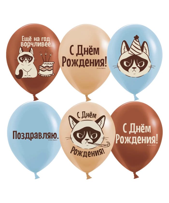Шар с рис (12''/30 см) С Днем Рождения! (сердитая кошка)