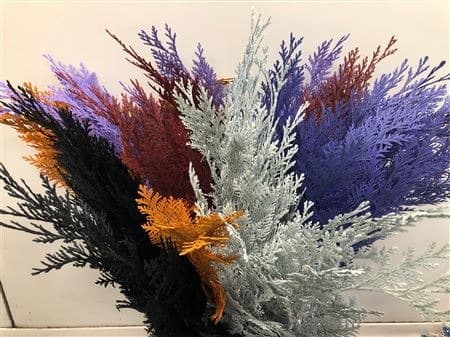 Зелень: Конифера