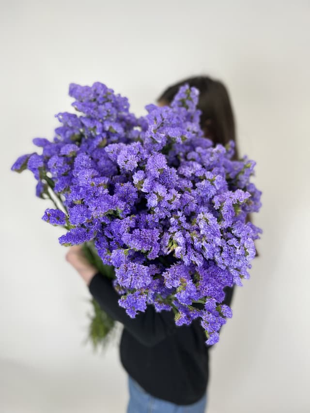 Зелень: Статица Зелень: Статица